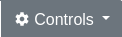 Controls button on the container details page